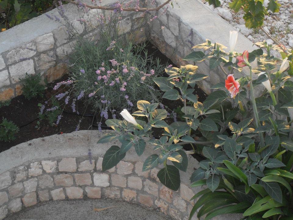 Apartments Leona Neum Dış mekan fotoğraf